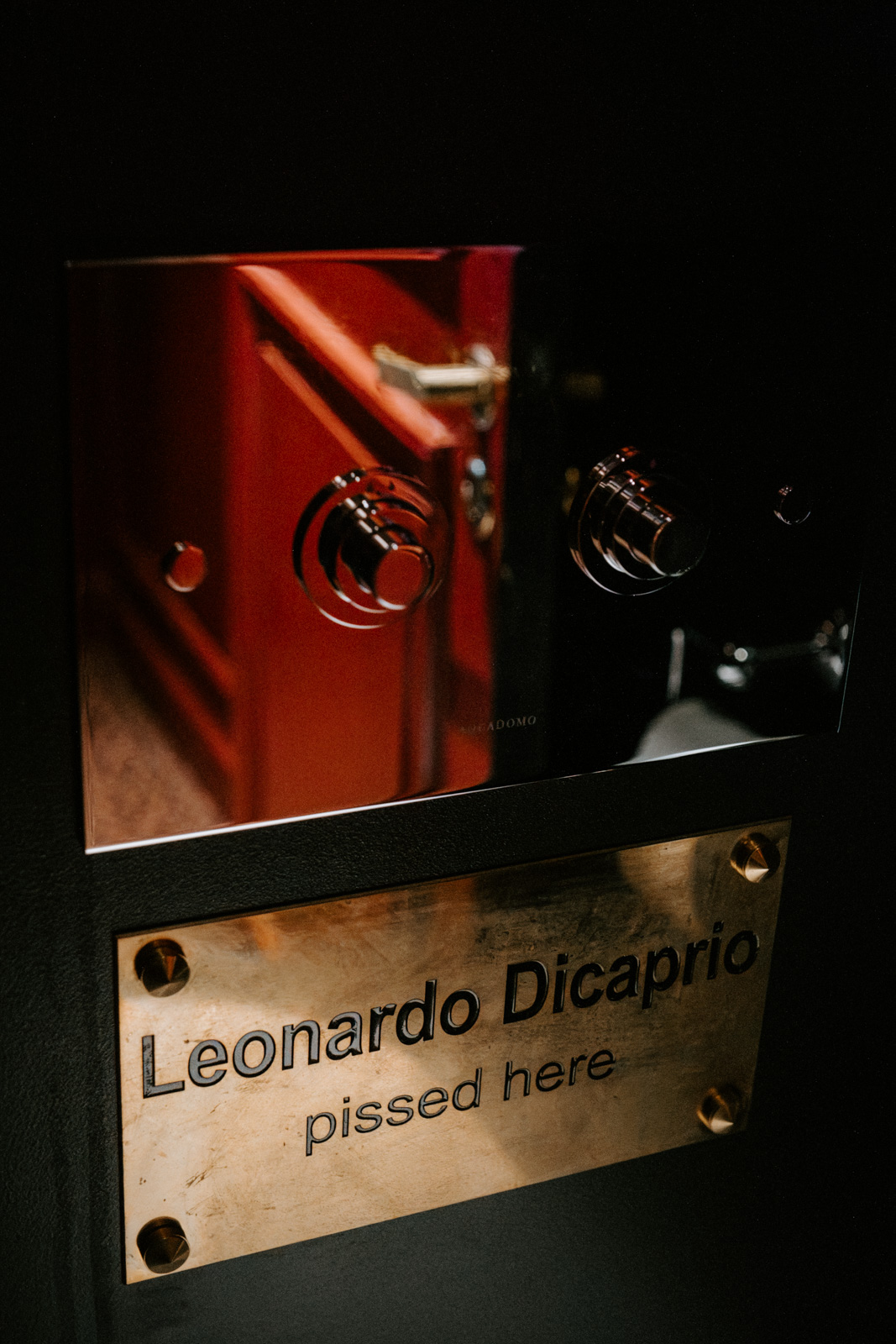 toilet detail of hotel particulier montmartre, paris, reading "leonardo di caprio pissed here"
